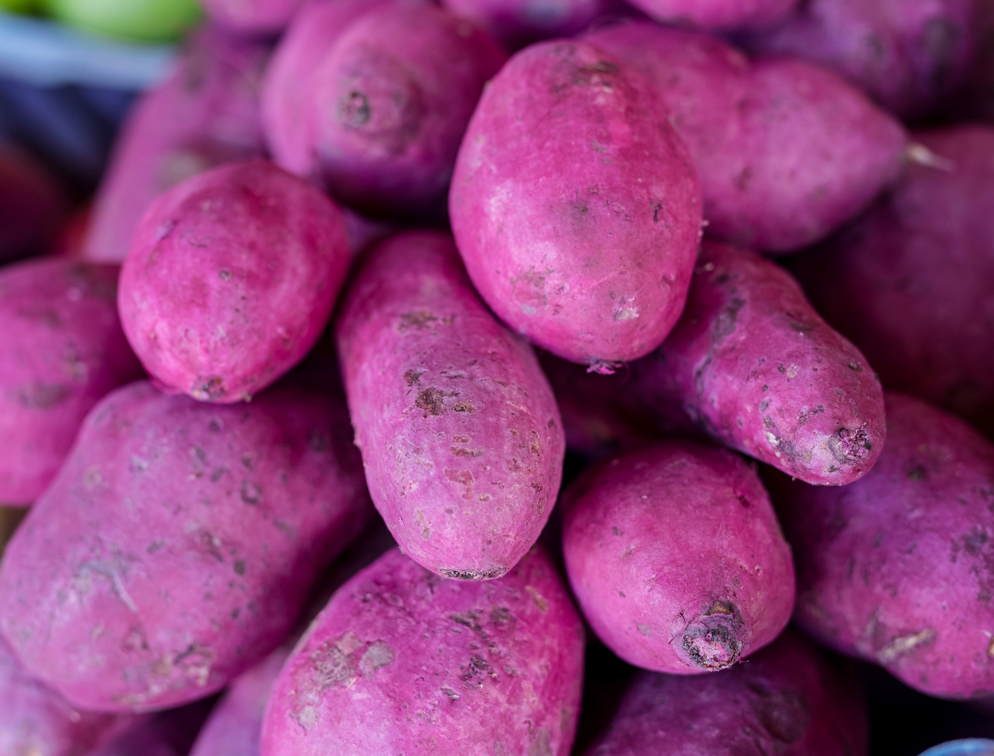 Ube : tout comprendre sur le tubercule violet qui fascine les chefs et les nutritionnistes